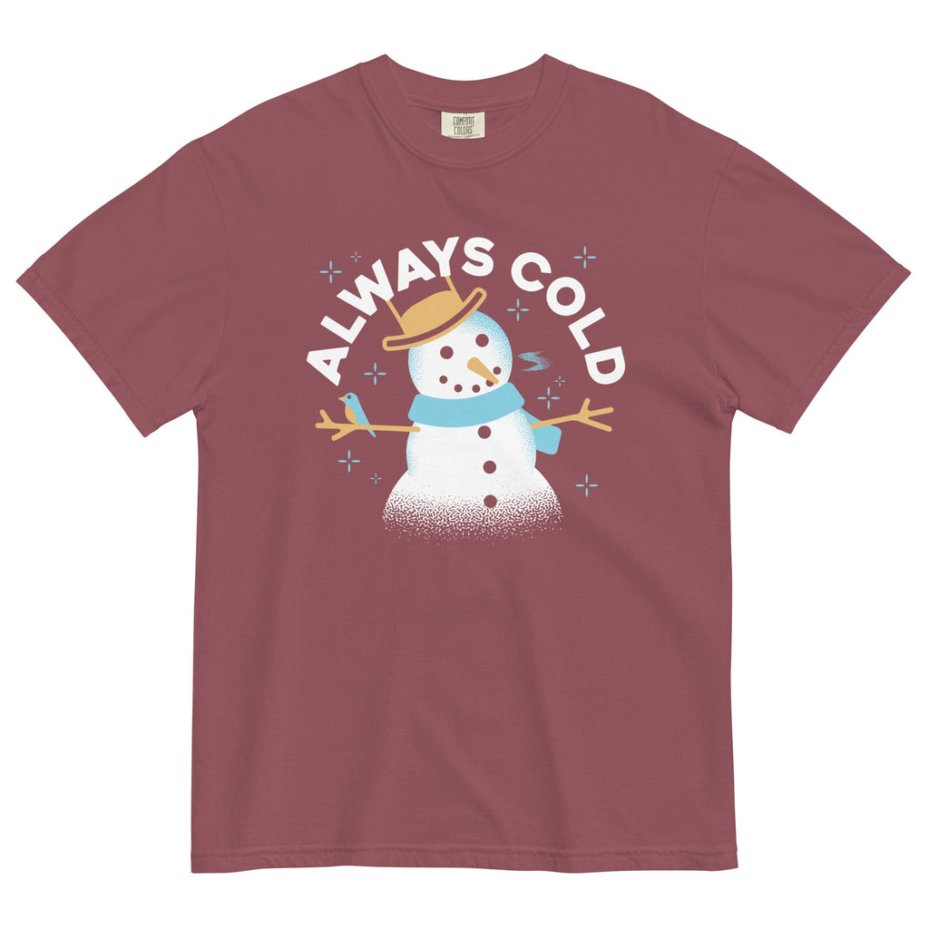 Always Cold Men's Relaxed Fit Tee product image 4