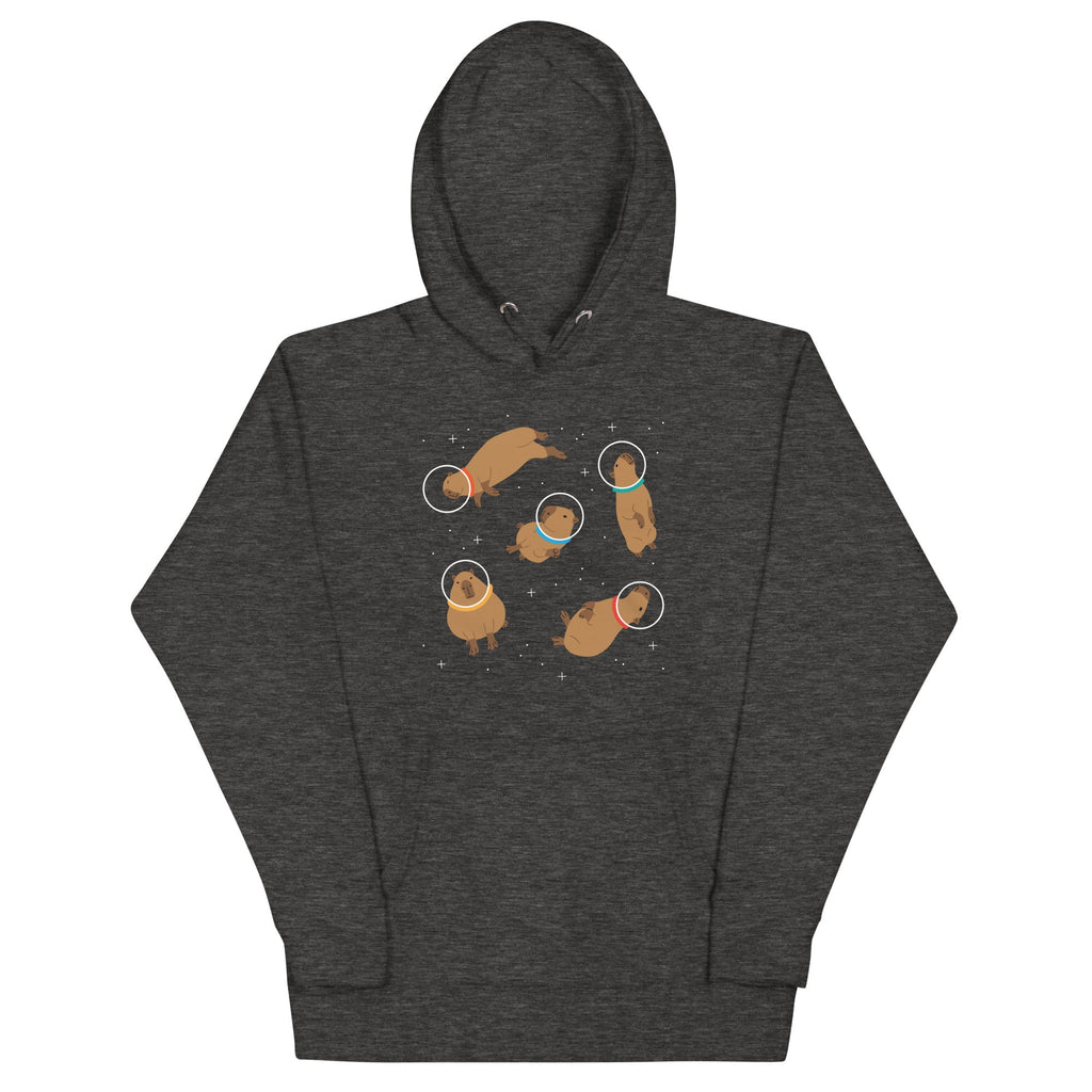 Capybaras In Space Unisex Hoodie product image 3