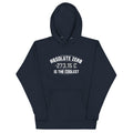 Absolute Zero Is The Coolest Unisex Hoodie product image 1