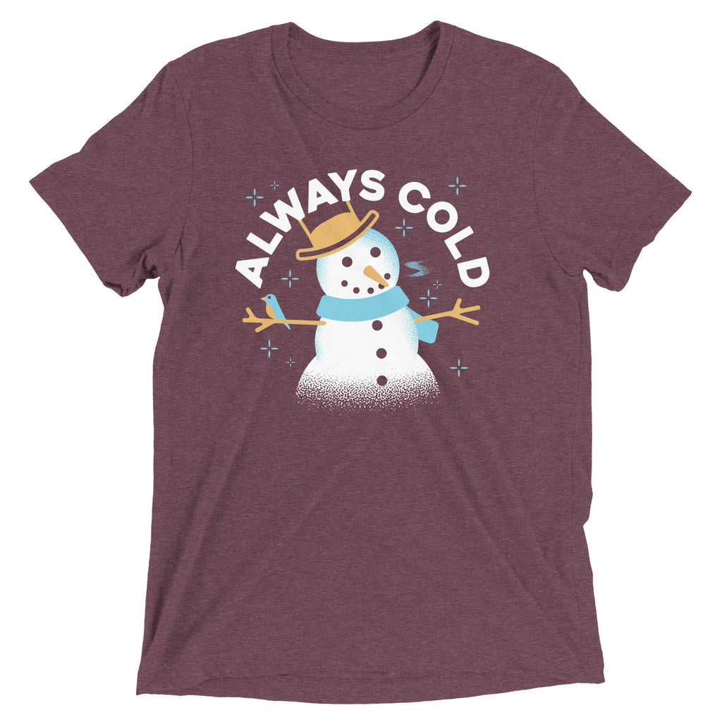 Always Cold Men's Tri-Blend Tee product image 4